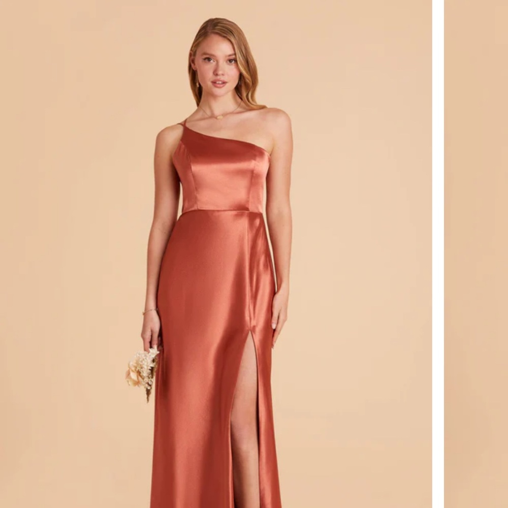 Birdy Grey Terracotta Satin One Shoulder Dress